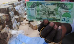 MDG : Somalia remittance : Somali money changer : Somalialand banknotes