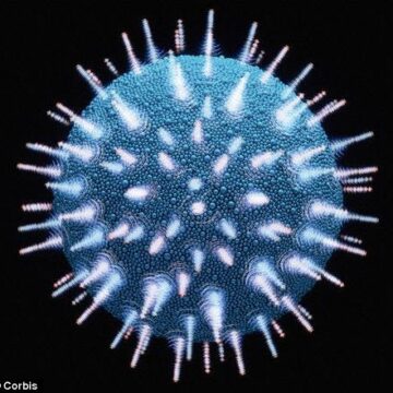hiv Circumcision HALVES the risk of STDs by reducing levels of bacteria that cause infections