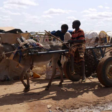 UN food relief agency starts first cash distributions to Somali refugees in Ethiopia