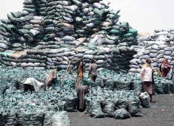 Kenya denies defying UN ban on Somalia charcoal trade