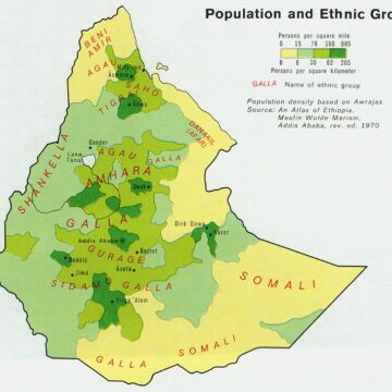 Saudis urged to stop hiring Ethiopian maids