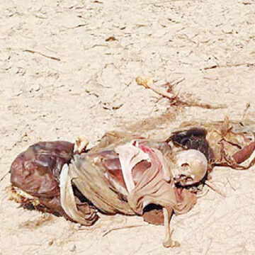 10crime Murder Not Ruled Out As Corpse Identified That Of Somali Maid