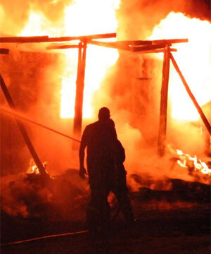 150 Somali-owned shops looted in South African rampage