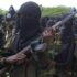 Government Forces, Local Militias Ambush Al-Shabaab Fighters in Hiiraan