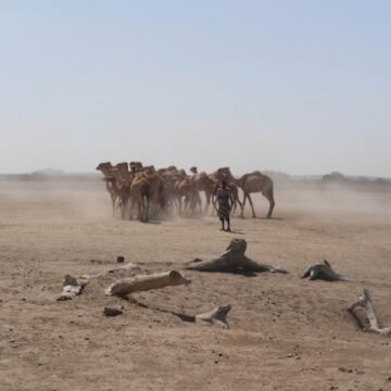 Trekking with Ethiopia’s Nomads, from Watering Holes to Pasture Lands, For a Better Life