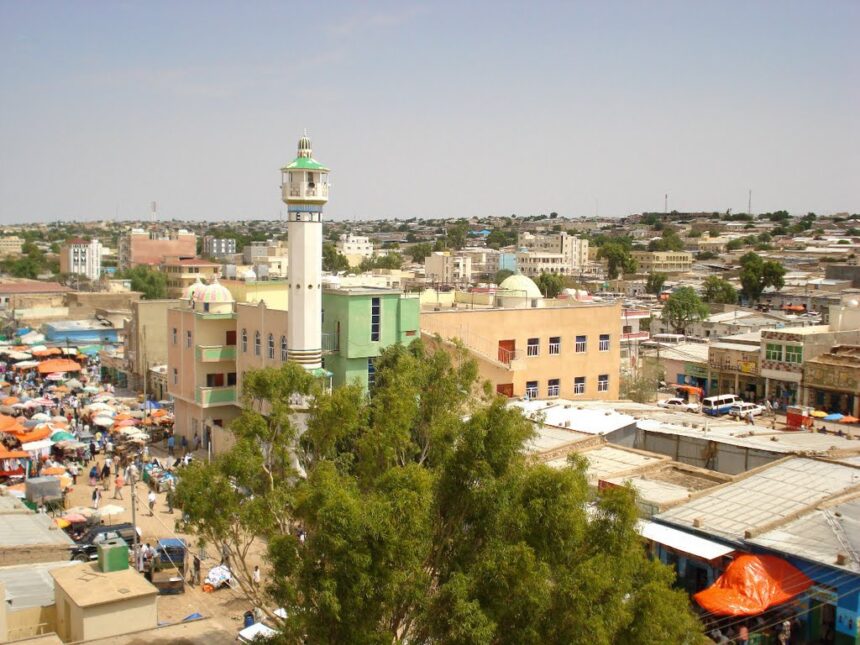 A City Congested with Universities and Vehicles: My Observations in Hargiesa
