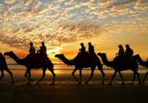 Caravans