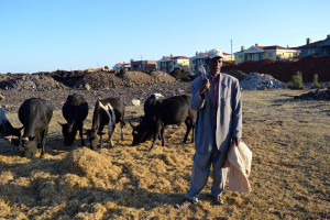 Ethiopia Farmer