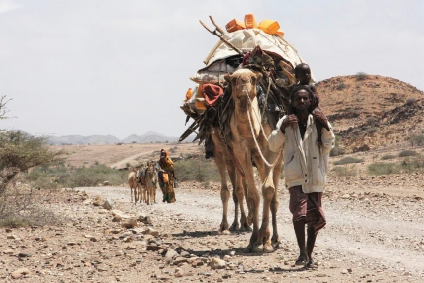 5 million people affected by drought in Somalia: action is needed now