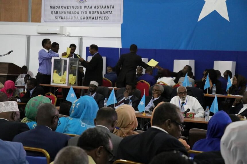 President Farmaajo’s Election: A Truly Defining Moment for All Somalis