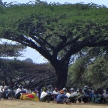 Clan Sentiments vs State Construction: The Somali Case