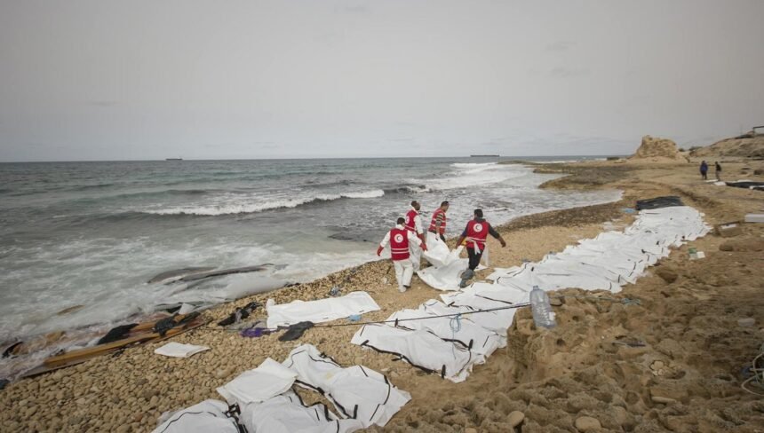 Bodies of at least 74 migrants wash ashore in western Libya