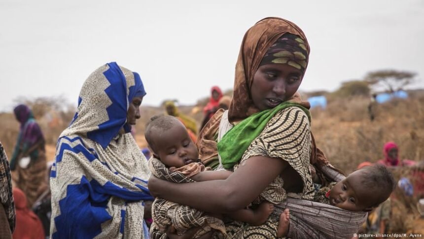 Don’t forget Ethiopia starvation risk, says German NGO