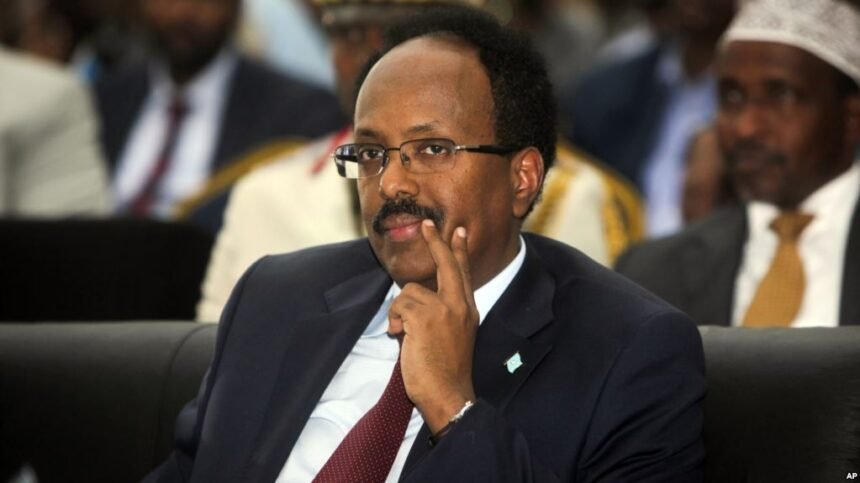 FARMAJO ONE-YEAR REVIEW: PART II