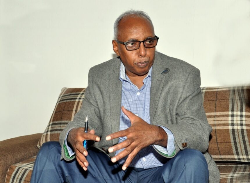 Djibouti ports sufficient for serving Ethiopia: Official Featured