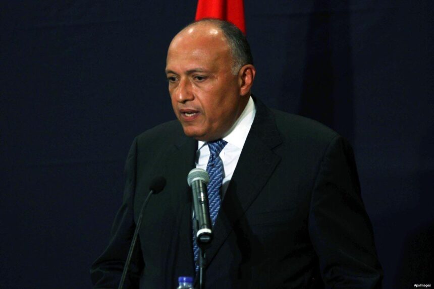 Egypt, Somalia discuss Sudan, Red Sea security