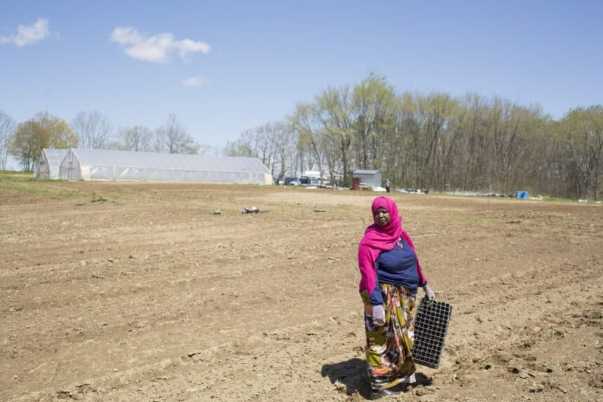 Somali immigrants closer to owning 30-acre farm in Lewiston