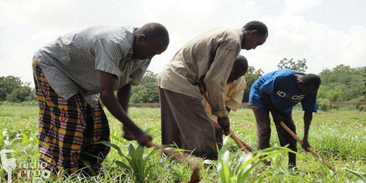 Cooperative farming helps poor and displaced workers in Somali Region ...