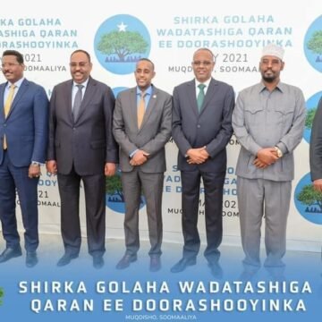 The Sham selection that Shames Somalia: The case of President Deni