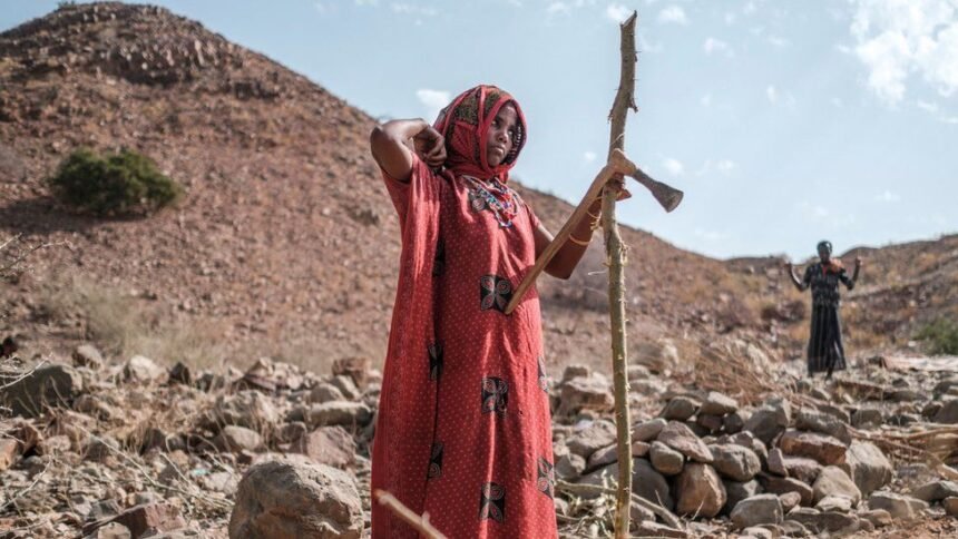 Ethiopia’s Tigray war: Fresh fighting shatters humanitarian truce￼