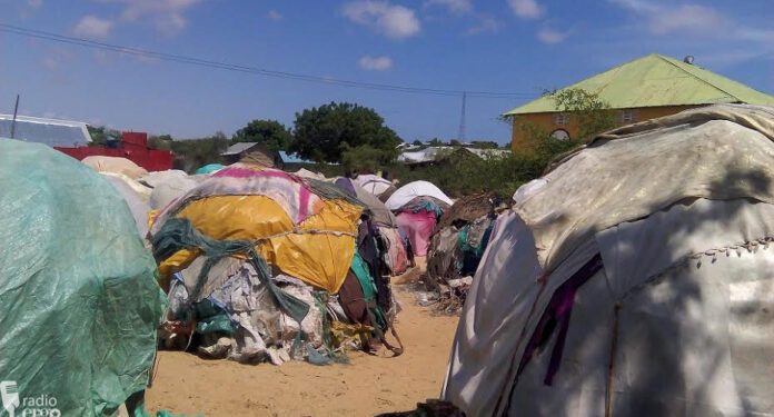 New IDPs live alongside old as Somali pastoralist families lose their  livelihoods in Mudug - WardheerNews
