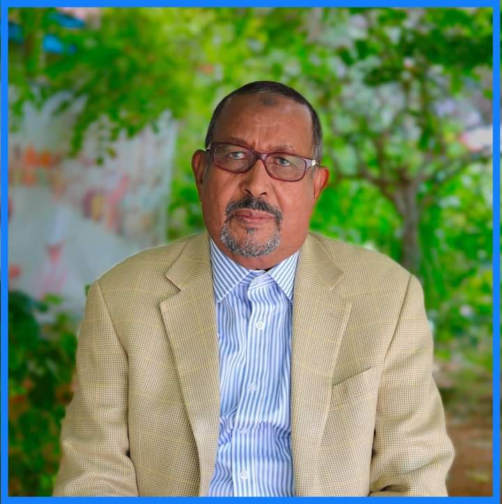 Prof Jurille Madaxweyne Xasan oo u magacaabay Prof. Jurille La Taliyaha Sare ee Dimoqraadiyeynta iyo Dawlad Wanaagga