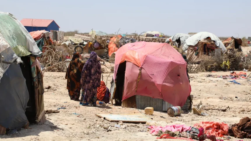 Somalia: Women and girls left vulnerable in worsening drought