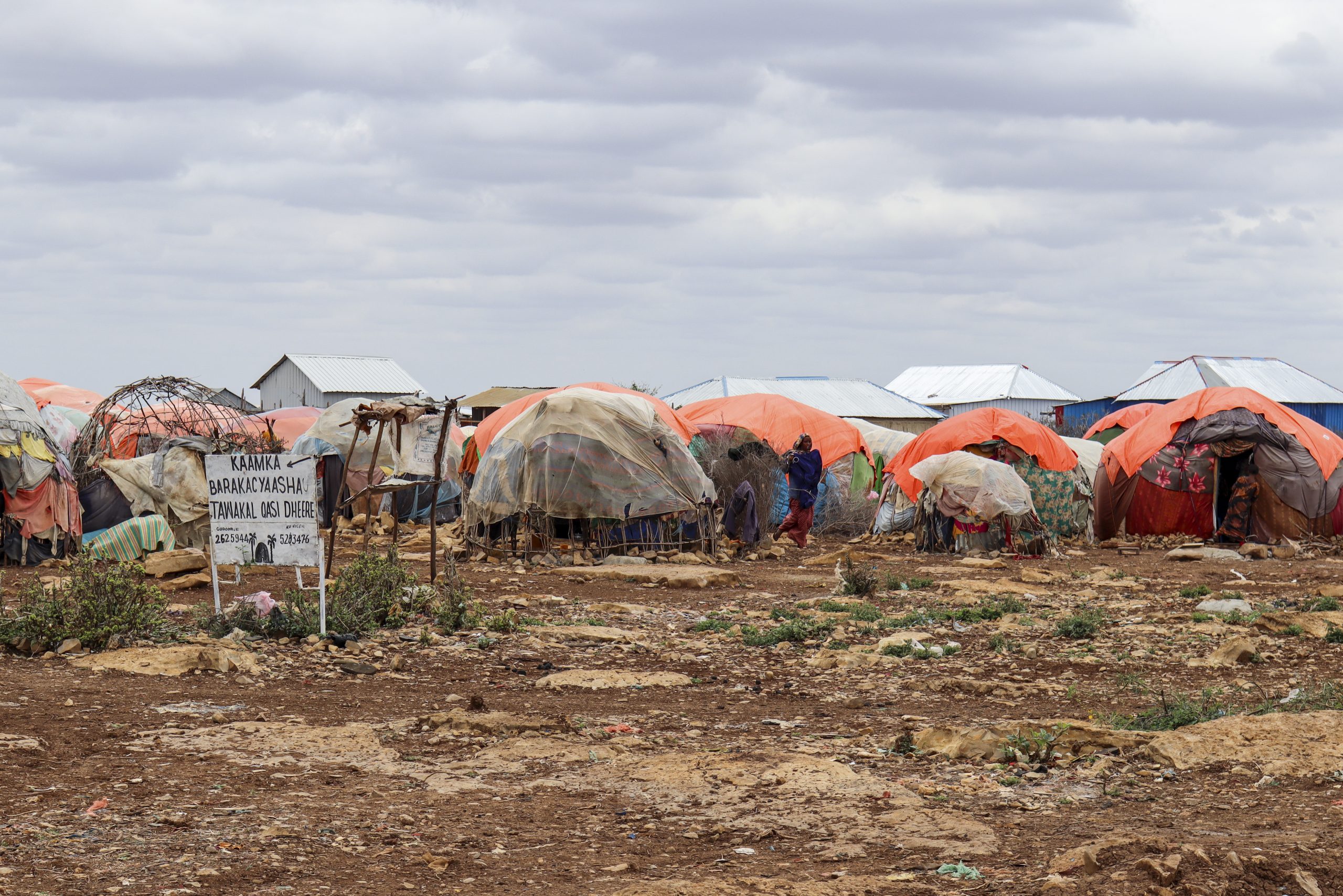 UN: Almost One Million Drought-hit Somalis In Al-Shabab Areas ...