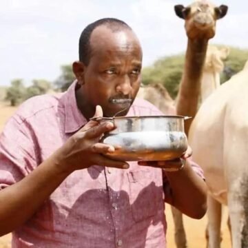 Aden Duale Told To Sell His Camels Over Insercurity In Mwingi North