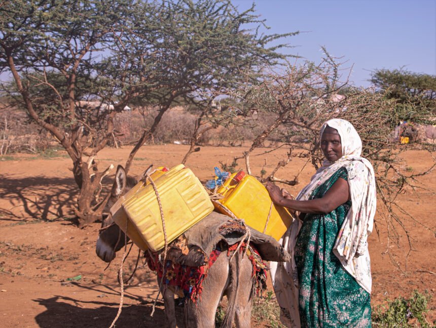 New Livelihoods Opportunities: A Welcome Relief for Families Displaced by Drought in Ethiopia