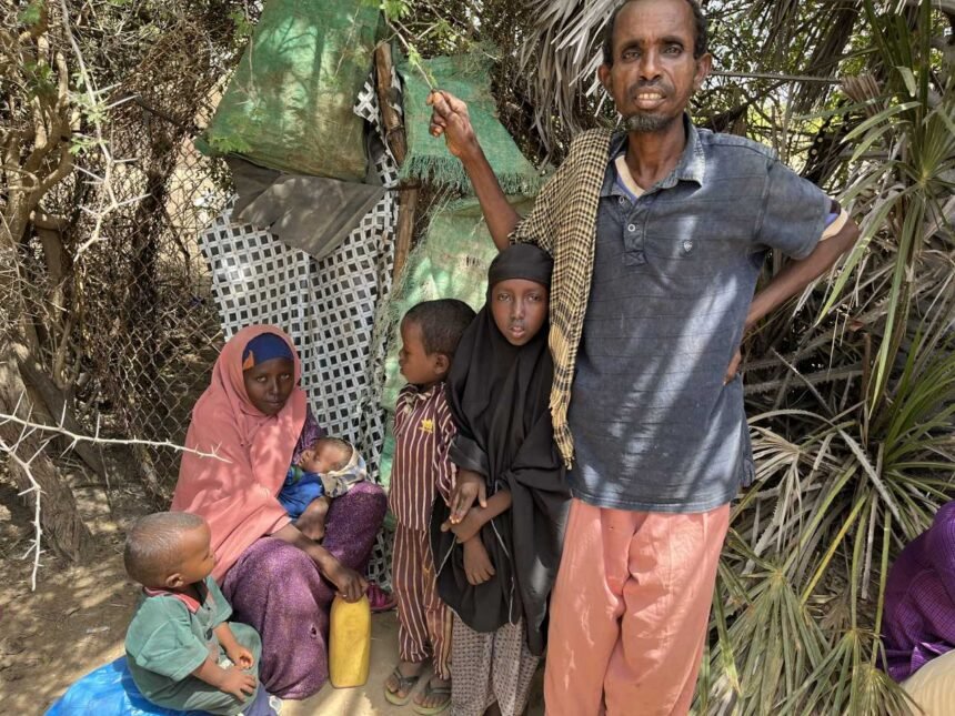 Somalia: “I sold the last three goats; they were likely to die”