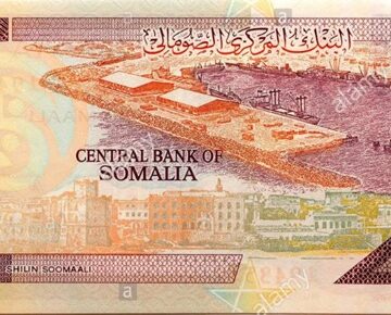 Can Somalia Have One Currency When It Cannot Agree on One Political System