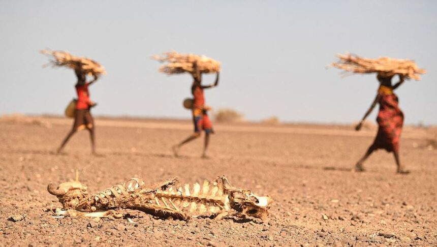 East African bloc appeals for 2.7 bln USD to help drought victims in Horn of Africa
