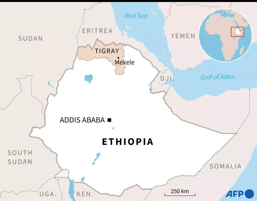 New cabinet unveiled for Ethiopia’s Tigray