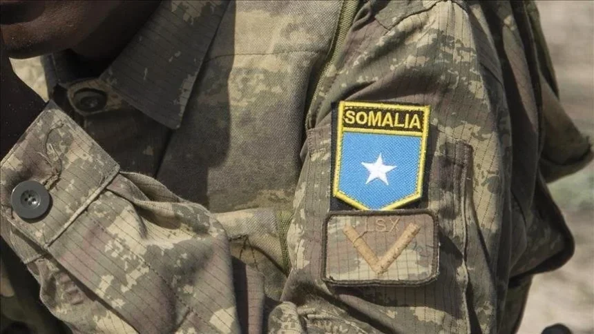 Somali security forces kill 44 al-Shabaab terrorists: Information Ministry