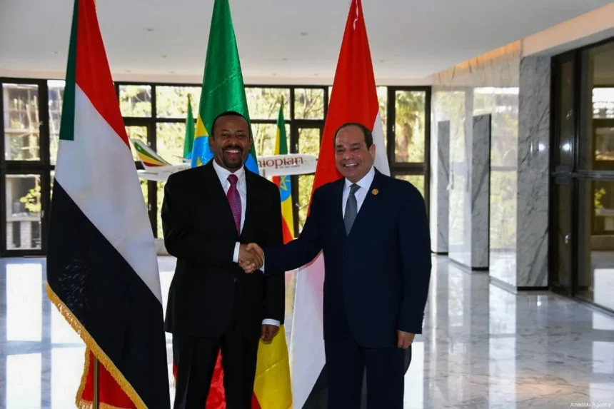 Egypt urges Ethiopia to ‘compromise’ on Renaissance Dam