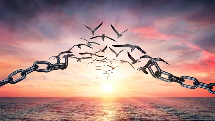 birds Why Believers’ Sins Are All Forgivable