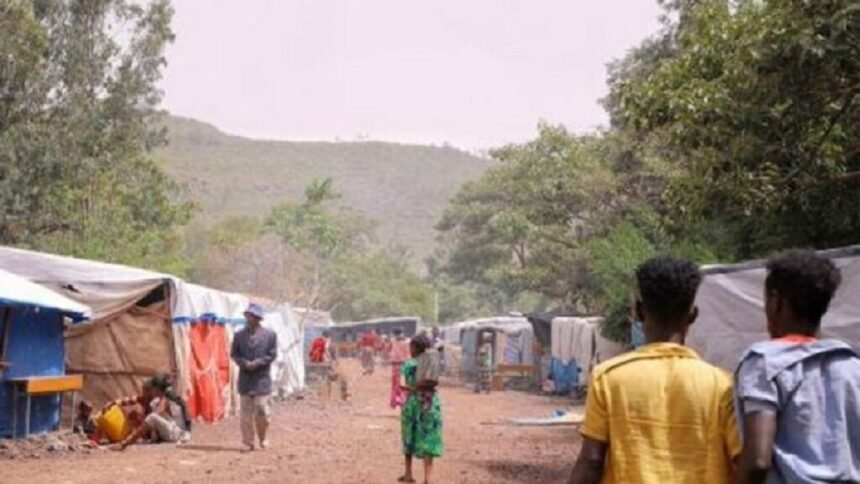 Displacement, horrific violence continue in western Tigray as Amhara forces maintain control