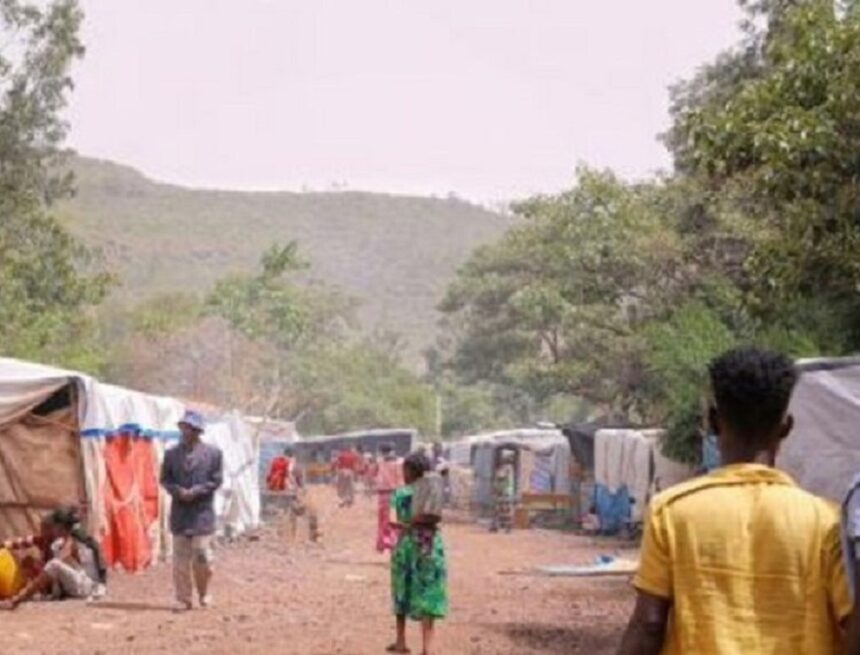 IDP-tigray Displacement, horrific violence continue in western Tigray as Amhara forces maintain control