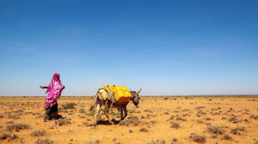 dhaan Drought in Somalia forces displacement, posing particular challenges for women and girls