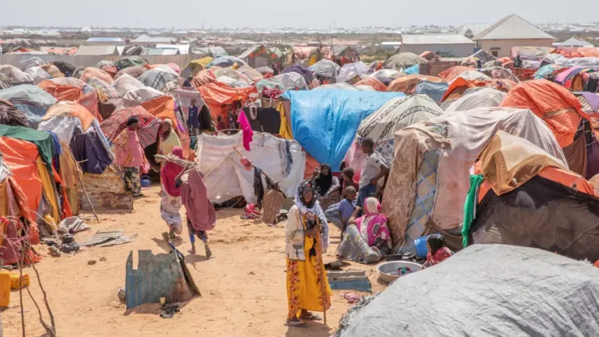 Powerful networks impose taxes on aid in Somalia. It’s time for this to end