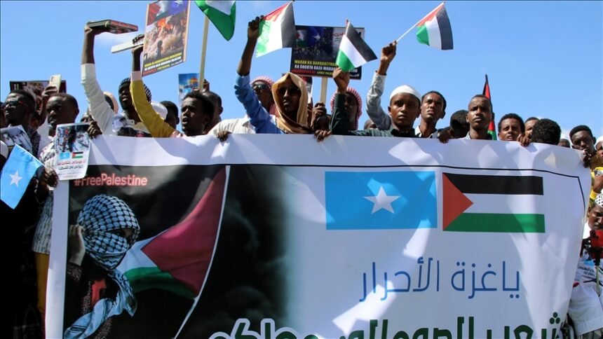 Turning Gaza’s Pain into Puntland’s Problem? Not on Our Watch