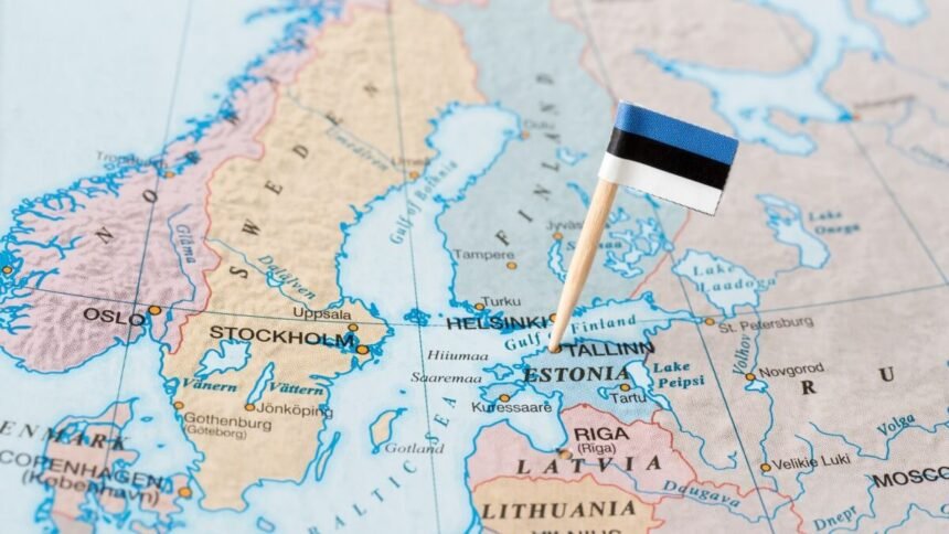 30 Migrants From Somalia & Syria Denied Entry at Estonian-Russian Border This Month