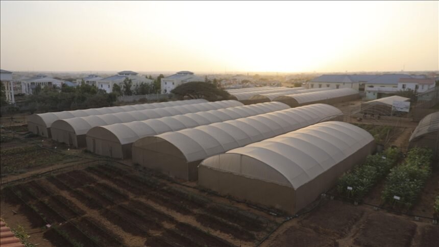 Turkish aid agency installs greenhouses to strengthen Somalia’s agricultural infrastructure