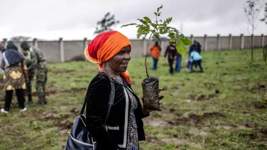 Kenya’s President Ruto one of four Africans on Time climate leaders list