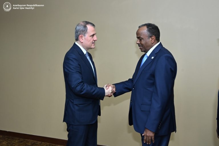 Somalia S State Minister Thanks Azerbaijan For Its Efforts During NAM   Somalia Azerbaijan 768x512 