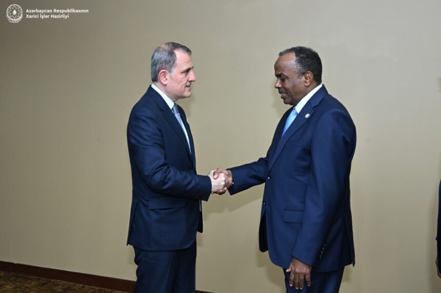 Somalia`s state minister thanks Azerbaijan for its efforts during NAM chairmanship