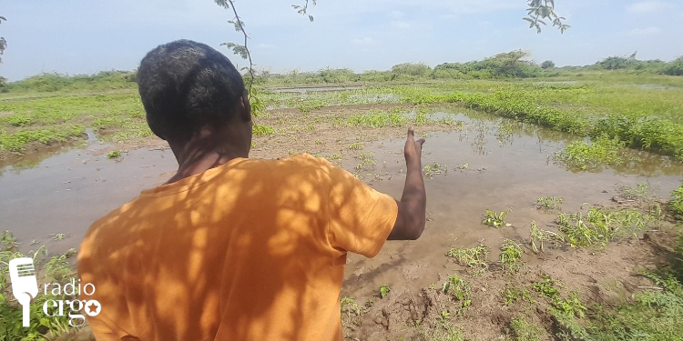 Farm-Radioergo Sudden flooding sets back the hopes of returnee farmers in Marka, Lower Shabelle