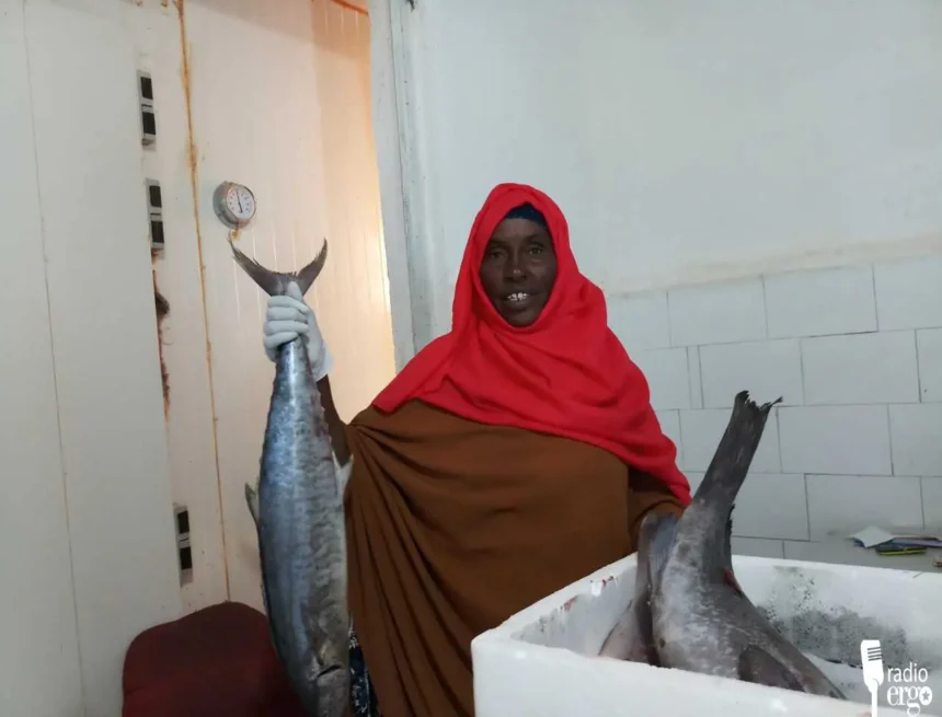 kalluun Displaced women in Hobyo set up businesses selling fish