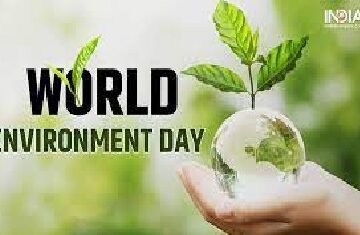 World-Env-day World Environment Day 2024 in Garowe: Reflecting on a City in Need of Tree Planting Efforts